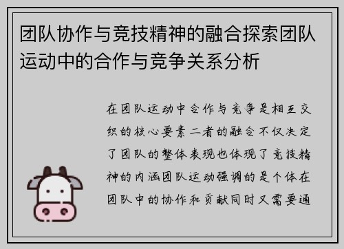 团队协作与竞技精神的融合探索团队运动中的合作与竞争关系分析